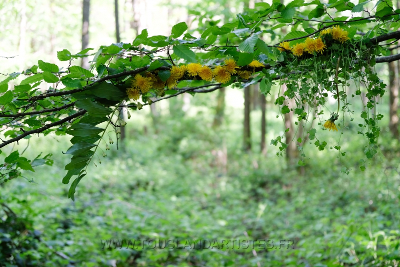 Land_Art_fleurs_Arbres17