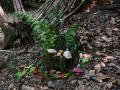 Land_Art_fleurs_Arbres23