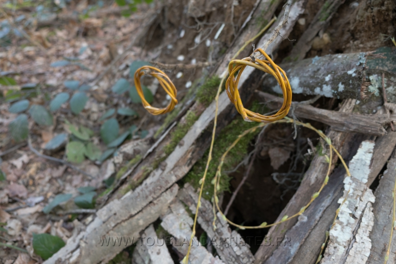 Ateliers_Nature_Hiver_Land_Art2018-7