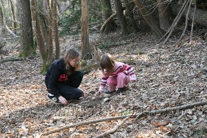 IMG_5527_new