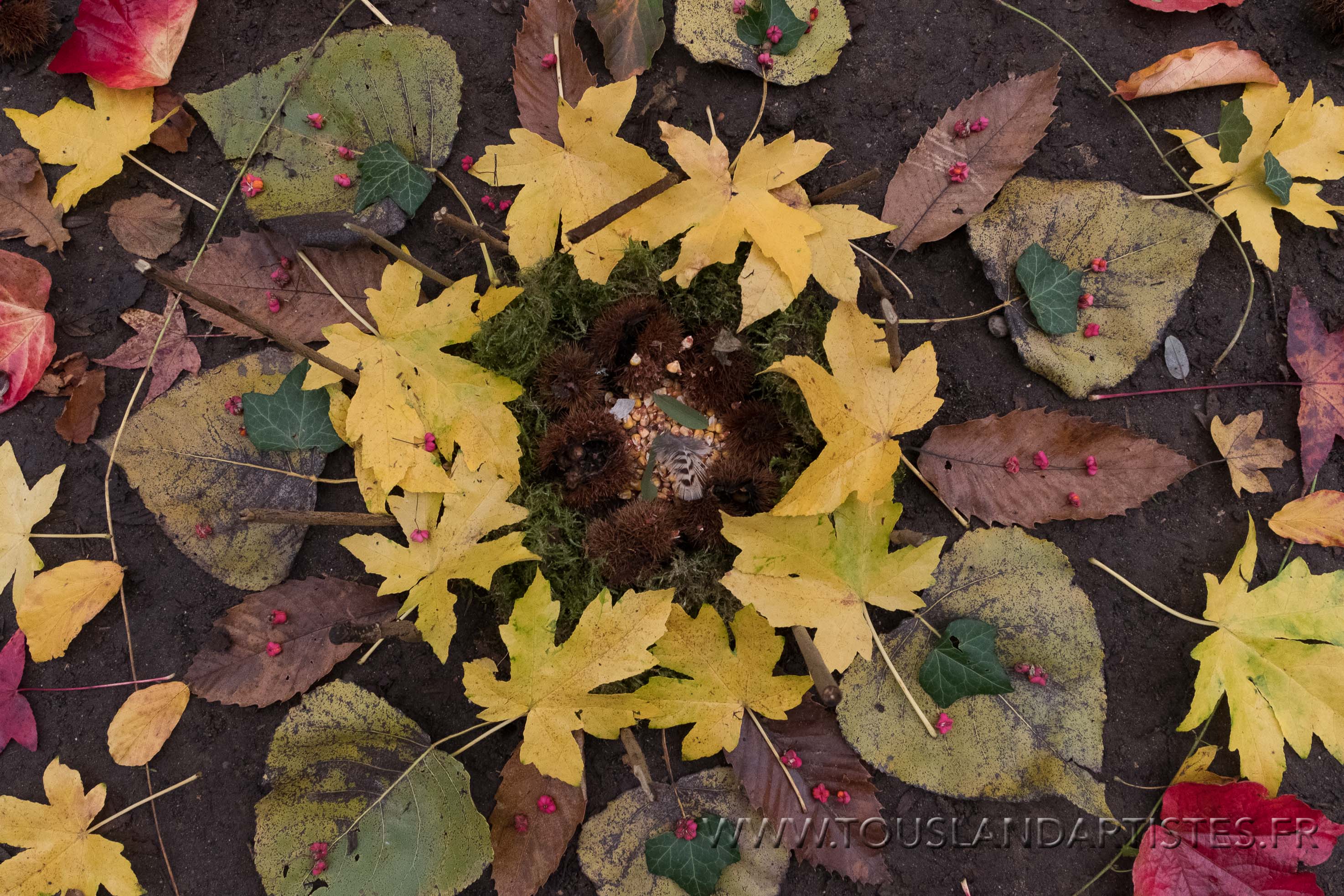 Virignin_automne_CE-2